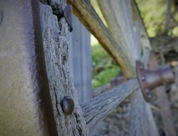 Close-up of rusty wood