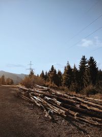 Stack of logs on field against sky