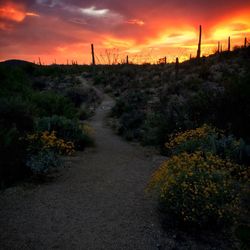 Scenic view of landscape against sky at sunset