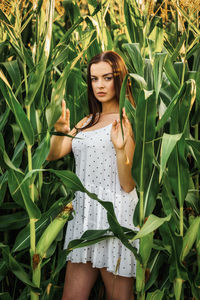 Young beautiful woman in white dress in corn field.