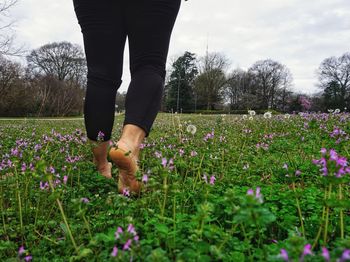 Low section of woman with pink flowers on field