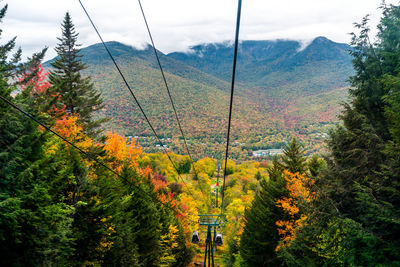 Scenic view of trees and mountains against sky during autumn