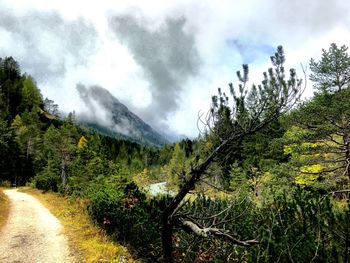 Scenic view of trees and mountains against sky