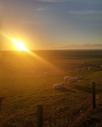 Sunset over landscape