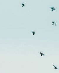 Low angle view of airplane flying against clear sky