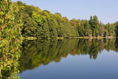 Scenic view of lake by trees against sky