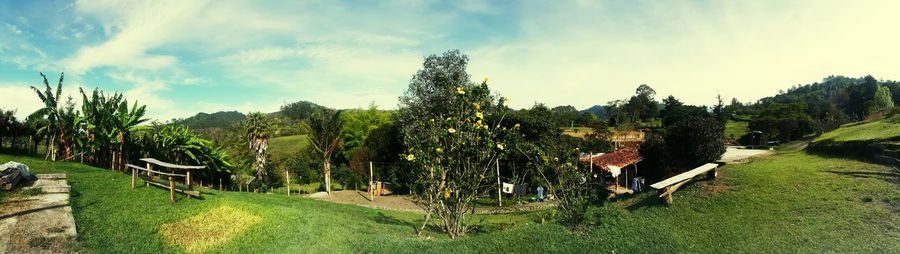 Scenic view of field against cloudy sky