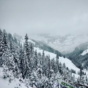 Pine trees on snow covered mountains against sky