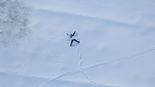 Person making snow angel