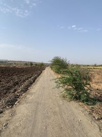 Road amidst plants on field against sky