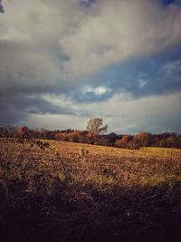 Scenic view of field against sky