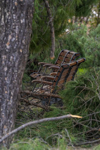 Close-up of empty bench