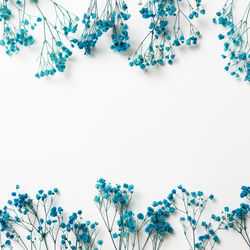 Low angle view of flowering plants against white background