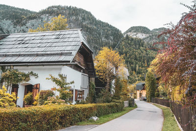 Road amidst trees and buildings against sky