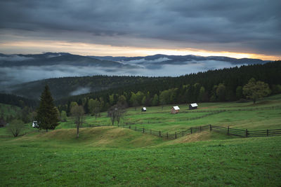 Scenic view of field against sky. spring mountain view of the foggy forest, in bucovina