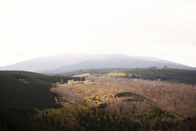 Scenic view of landscape against clear sky