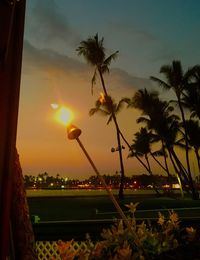 Palm trees against sky at sunset