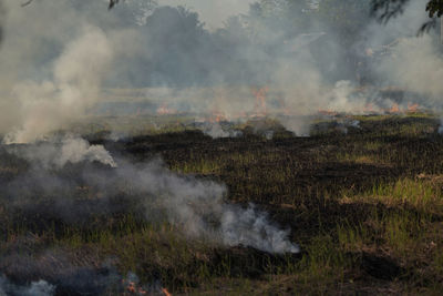 The agricultural waste burning cause of smog and pollution