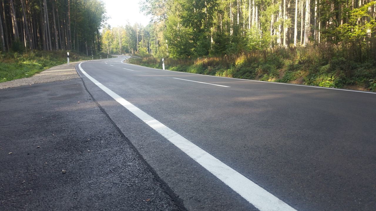 EMPTY ROAD BY TREES