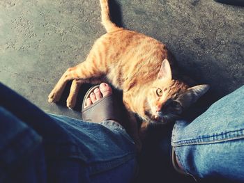 Low section of man sitting on floor