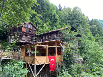 Abandoned building by trees in forest