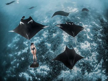 Digital composite image of person swimming in sea