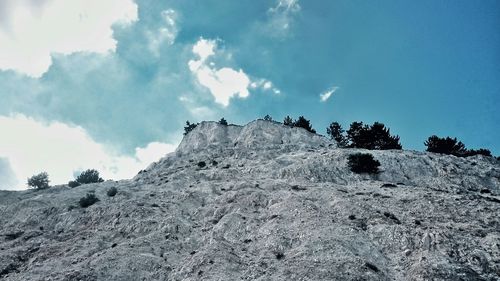 Low angle view of trees against sky
