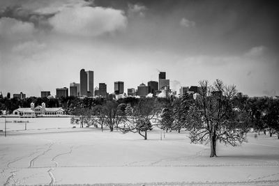 Trees by city against sky