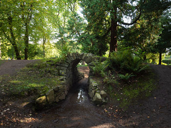 Footpath in park