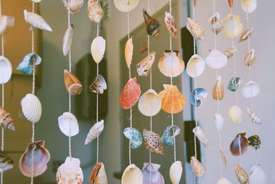 Curtain made of shells