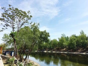 Scenic view of lake by trees against sky