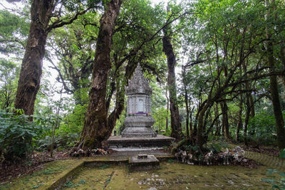 Trees in a temple