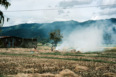 Scenic view of field against sky