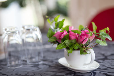 Close-up of flowers in vase