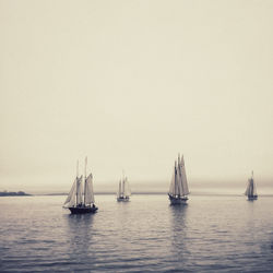 Sailboats sailing in sea against clear sky