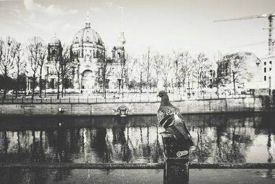 River with buildings in background