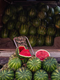 Watermelons for sale on the market of tbilisi