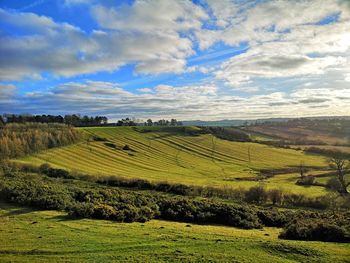 Scenic view of agricultural field against sky