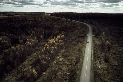 Drone view of car driving on narrow asphalt roadway between fields with tall trees in grove in nature against cloudy sky