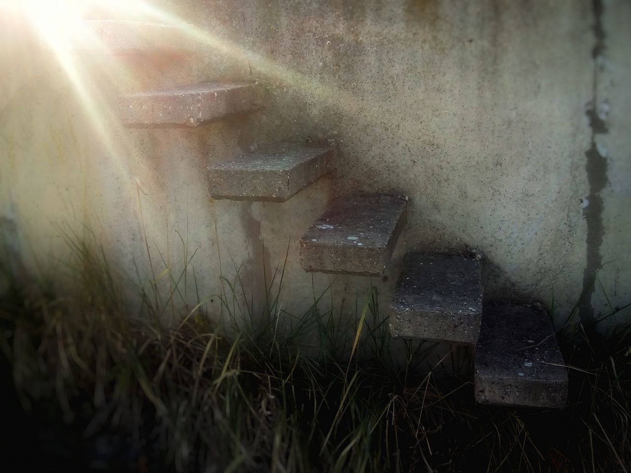 GRASS WITH SUNLIGHT