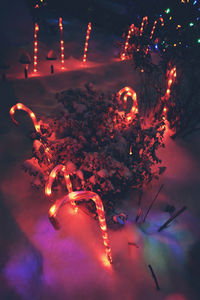 High angle view of illuminated christmas tree at night