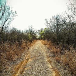 Railroad track amidst bare trees against clear sky