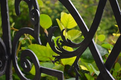 Close up of metal