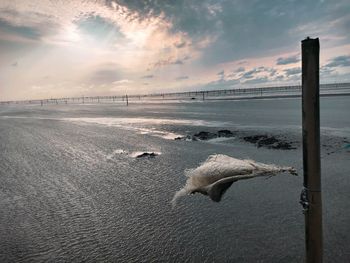 Scenic view of beach against sky during sunset