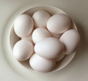 Directly above shot of eggs