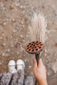 Person holding autumn dry flowers and lotus 