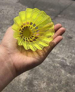 Close-up of hand holding yellow flower