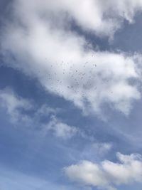 Low angle view of birds flying in sky