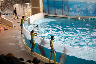 High angle view of people standing in swimming pool