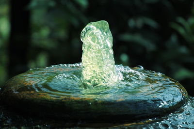 Close-up of water splashing